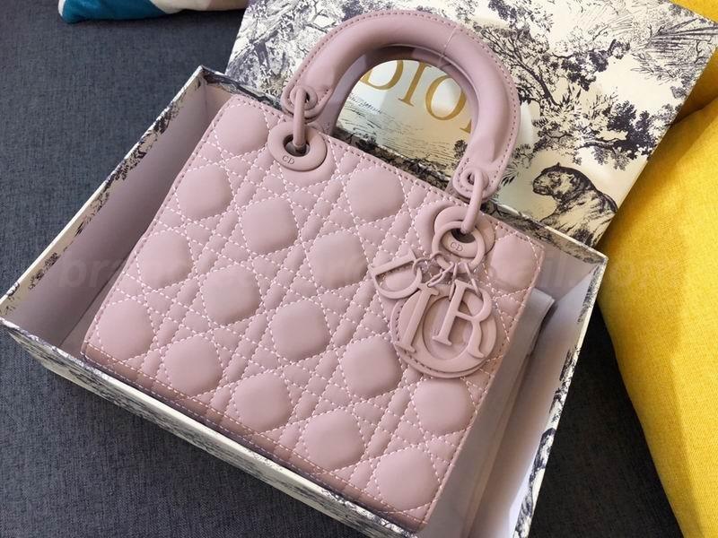 DIOR Handbags 78